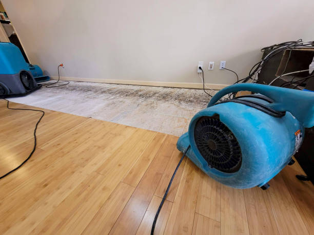 Professional Ceiling Water Damage Repair technician working in Scio, OH